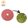 Dry/wet Polishing Pad