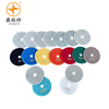 Dry/wet Polishing Pad