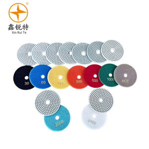 Dry/wet Polishing Pad